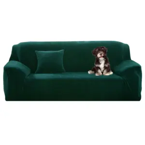 Sdafd1c3e9c2a4132a6bfd2eeb6abef35A