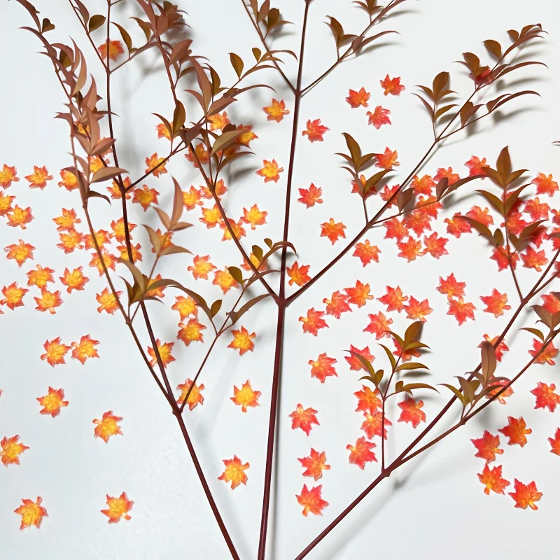 Vivid Resin Maple Leaves for Crafts 6 Vivid Resin Maple Leaves for Crafts - Image 6