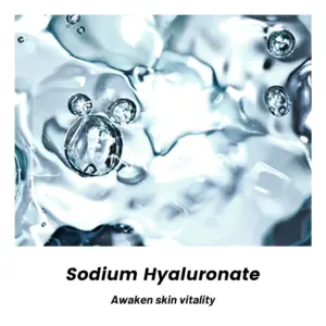 Sdc9c16703c9c4b579b787f537a9677b1k