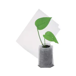 Eco-Friendly White Seed Nursery Bags Set of 200 7 Sdd97ff8a53354c7e9d9d3d7fa58d1b8eg