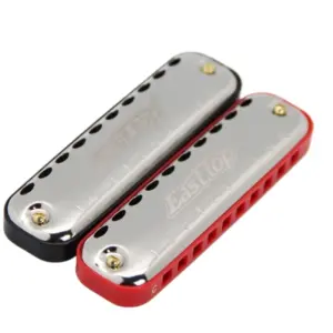 Vibrant 10-Hole Blues Harmonica for Beginners