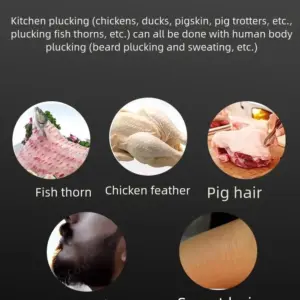 Se1cf58a70a2f4a9a944eb1ea28fb9355P