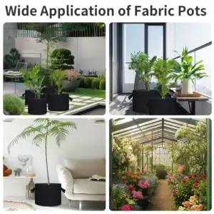 Se2d8b24ee94f45cda9371fc3e911c6c54