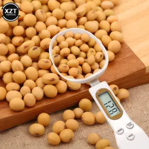 Mini Electronic Kitchen Scale 0.1g, 500g Max