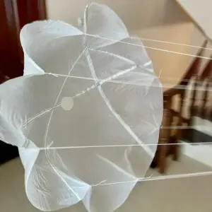 Se6b5133e43be4b9cb48a07b9c0c40bf0s