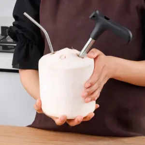 Eco-Friendly Coconut Green Opener for Kitchen 12 Se80332f7f4f340e08397dd6b2c13048c6