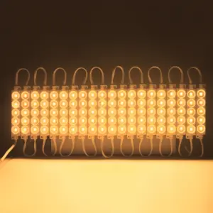 Se981089a5bfa44a182b88a92073216e5F