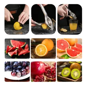 Stainless Steel Manual Citrus Juicer 8 Seac629d7992047428159b48ad555f204y