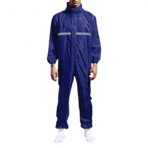 Sec6f63b4e659474ea669a72d561b8e80P