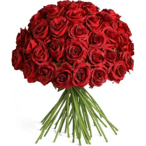 Secc0f54514b94deb97a00f544e912cb33