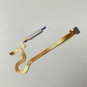 Sed874a921a3542daa48e32e8c1b96304A