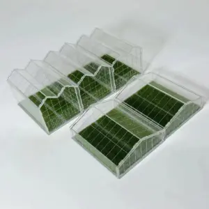 Miniature Greenhouse Model in 3 Scales 13 Seefb73348e94465d98535c5a2cc1f01dA