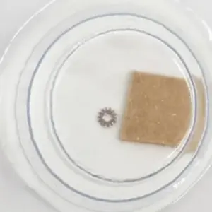 Sefa7fb6f26a54aafbd39f3362bef6c18b