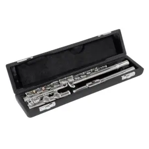 Black Flute Case for 16-17 Hole Flutes 11 Sf0d1c43dce974c75a02225f3fc0e0219G