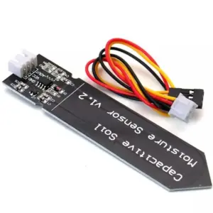 Sf10d7810091541329c5fefb2e8d1fe24A