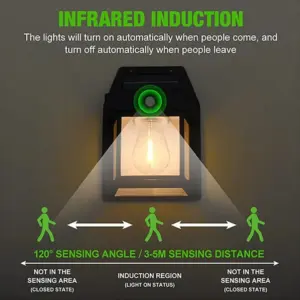 Solar Tungsten Night Lamp for Outdoors 10 Sf1f244cbd79a43108604e664e1af0df8c