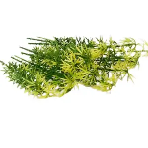 Sf6a2978a917140568c7eaa2a0847d35fQ