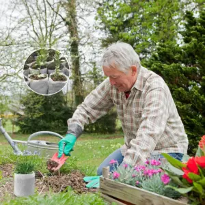 Eco-Friendly White Seed Nursery Bags Set of 200 9 Sf6f7d1cabd454775b3a00ddd536b0254P