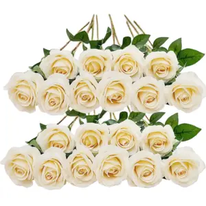 Sf6ff4e91c7e84b8e98d2aaeb1898b1afY