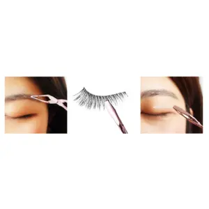 Sf84996a5f837461da5085bf9d65980637