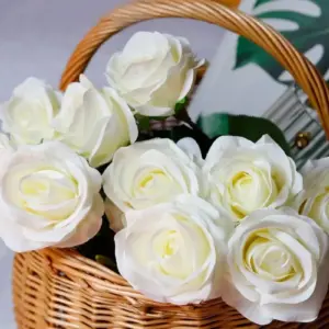 Sf9d1bff15f1449bd80a57c43d46832a18