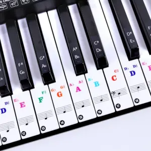 Colorful Transparent Piano Key Stickers for 88-49 Keys 8 Sfc1426e34a53418387d2d19e3aac18a4w