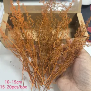 Sfc3a348dad3c4baaa70b90556b0b8fad2