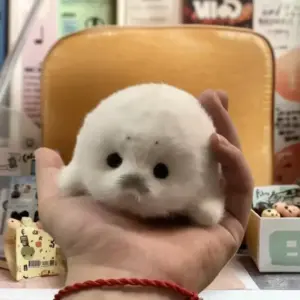 Sfd86422ddaf346248e983145881c7ea7G