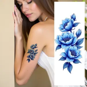 Sfdcb30ce1e314672b01cb37b485288c2G