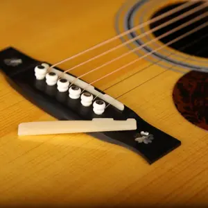 Sfeb01f9ccdbc4e83bd74cc6e37b2f8ed0 1