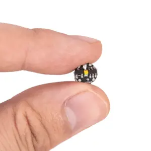 Sff80cf8e066041c28a791c50493997f1b