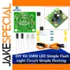 Flashing LED DIY Kit with 5mm LEDs