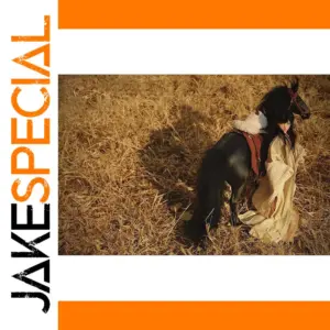 1/4 Scale Black Warm Blood Horse Model