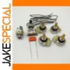 Vintage Guitar Electronics Kit with CTS Potentiometers