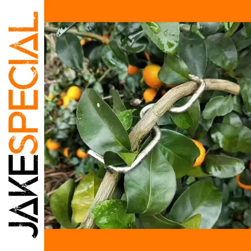 b457c34ab02e4c56973bc10c product image