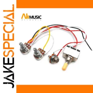 Les Paul Guitar Wiring Harness with Chrome Switch