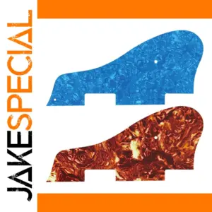 Vibrant Custom Pickguard for Epi 1965 Casino