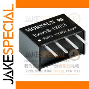12V Power Supply Module B1205S-1W & Variants