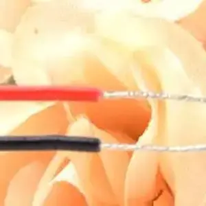 c9cdd487bf8549f39430c7d1 upscaled