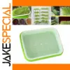 Vibrant Green Microgreens Sprouter Tray