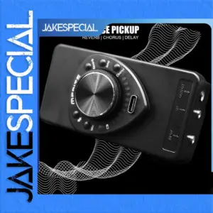 P10 Guitar Resonance Pickup with Effects