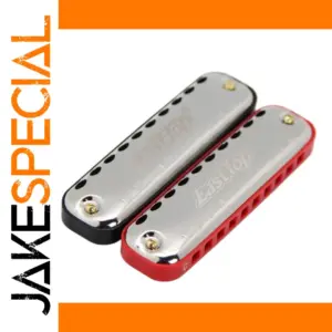 Vibrant 10-Hole Blues Harmonica for Beginners