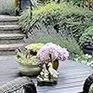 edde7279bfe74bceacf374d7 upscaled