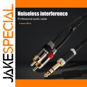 6.35mm to RCA Audio Cable, 3m