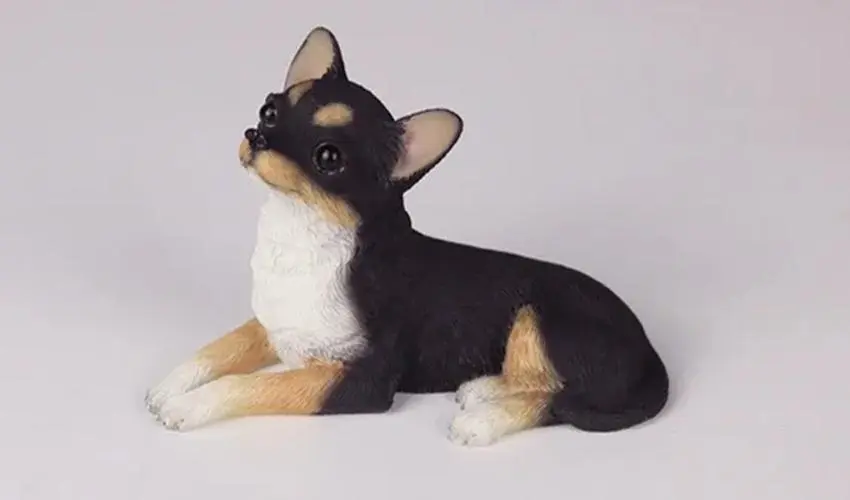 Realistic 1/6 Scale Chihuahua Resin Figurine 8 Realistic 1/6 Scale Chihuahua Resin Figurine - Image 8