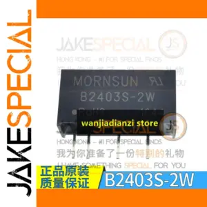 B2403S Series Voltage Regulator Module