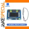 XH-M543 TPA3116D2 Dual-Channel Amplifier Module