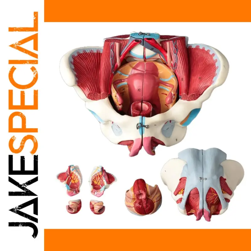 14aa0c14fc574c808682a5b0 product image