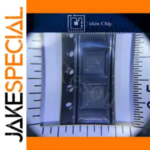 ICN6202 Video Signal Converter Chips Set