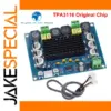 TZT Digital Stereo Amplifier Board 12V-24V 120W per Channel